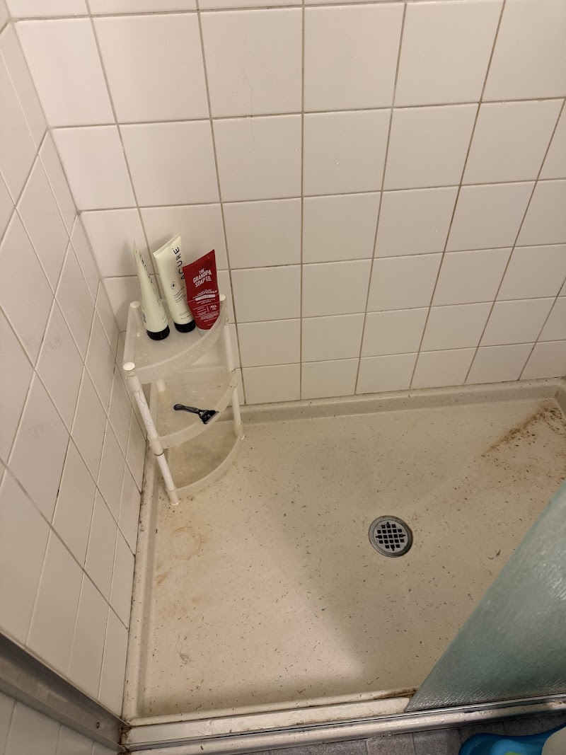 Green Olive Housekeeping & Janitorial Services reviews